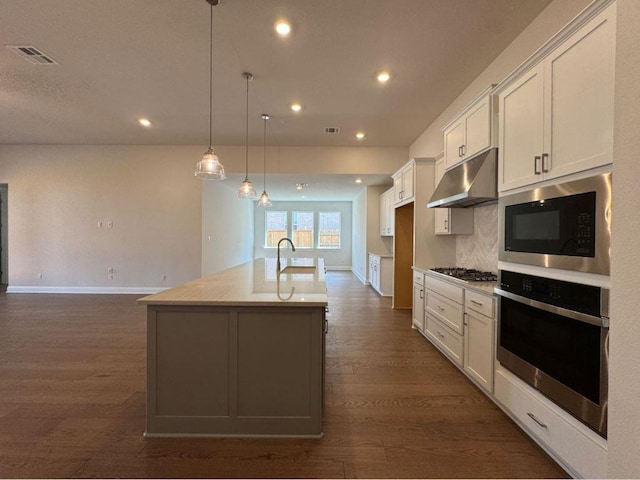 kitchen featuring dark wood-style flooring, a kitchen island with sink, a sink, under cabinet range hood, and appliances with stainless steel finishes