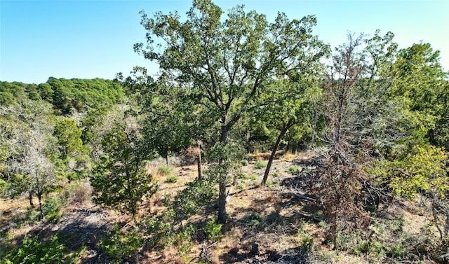 141 Helemano Dr, Bastrop TX, 78602 land for sale