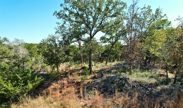 Listing photo 2 for 141 Helemano Dr, Bastrop TX 78602