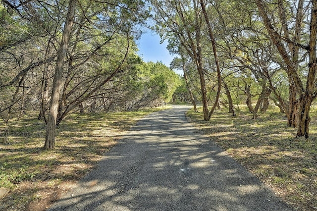 8302 N Madrone Trl, Austin, TX 78737 - view of dirt / gravel road with a forest view