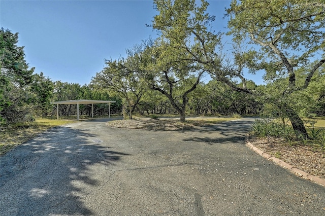 8302 N Madrone Trl, Austin, TX 78737 - view of street with curbs