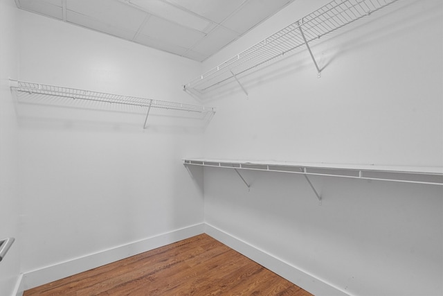 spacious closet featuring hardwood / wood-style flooring