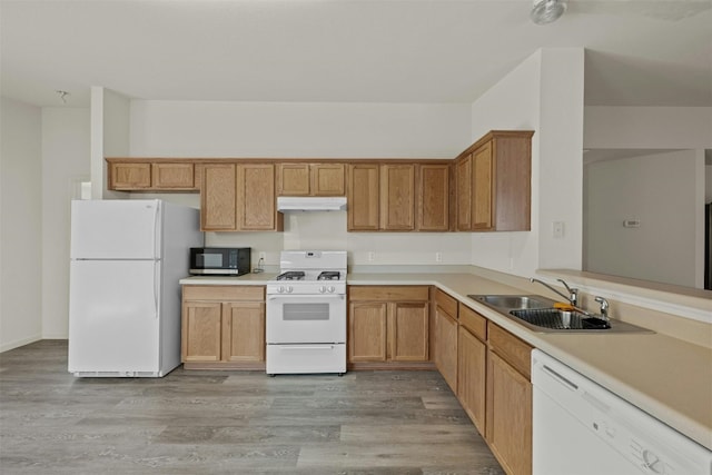 kitchen featuring sink, white appliances, and light hardwood / wood-style floors