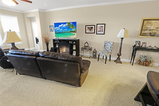 carpeted living room featuring a glass covered fireplace, a ceiling fan, baseboards, and ornamental molding