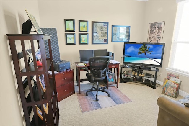 office area featuring baseboards and carpet floors