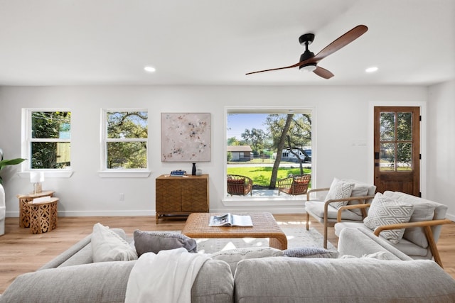 living room featuring ceiling fan and light wood-type flooring