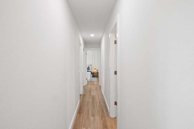 hallway featuring light hardwood / wood-style flooring