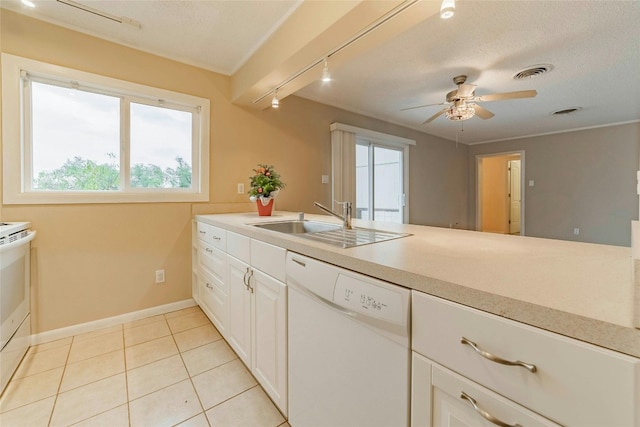 kitchen featuring rail lighting, ornamental molding, sink, dishwasher, and white cabinetry