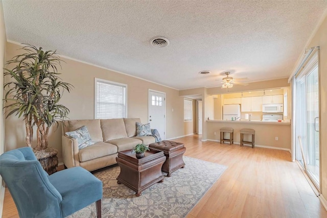 living room featuring crown molding, ceiling fan, a textured ceiling, and light wood-type flooring