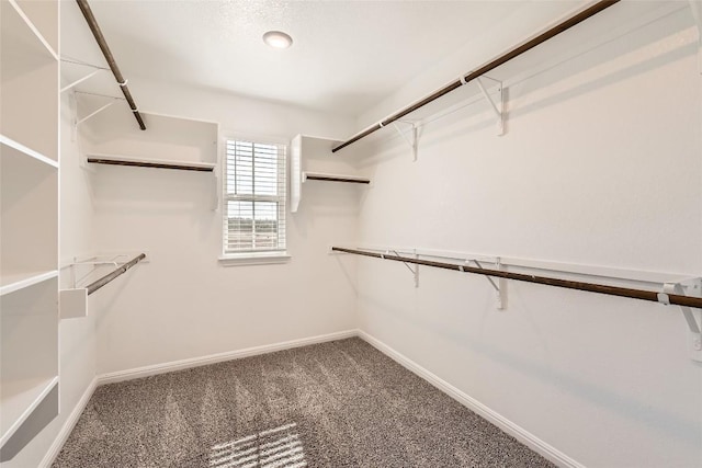 196 Lost Mine Peak Ln, Dripping Springs, TX 78620 - spacious closet featuring carpet floors