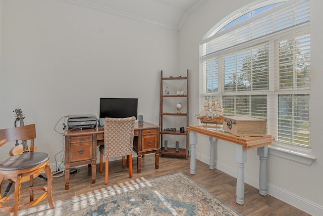 home office featuring crown molding, hardwood / wood-style floors, and a healthy amount of sunlight