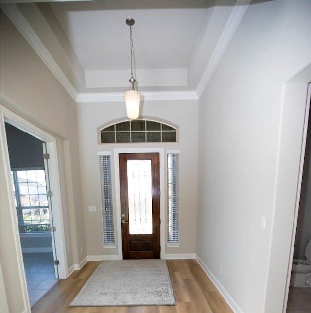 entrance foyer featuring a tray ceiling, crown molding, and light hardwood / wood-style flooring