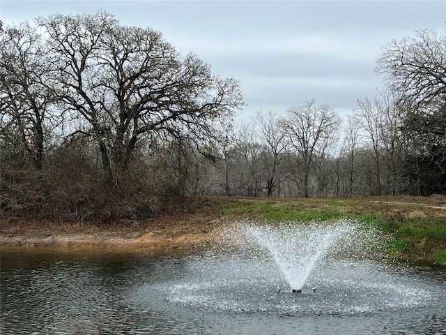 23A Tumbleweed Trl, Dale TX, 78616 land for sale