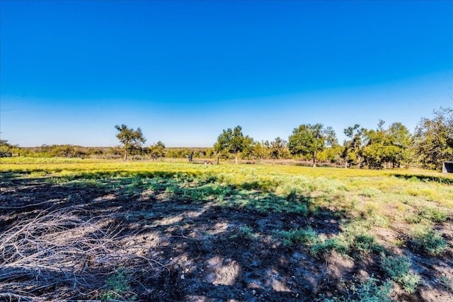 view of nature featuring a rural view