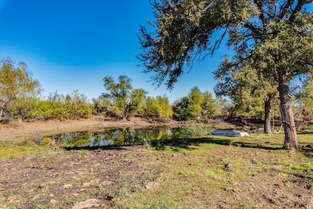 view of yard with a water view