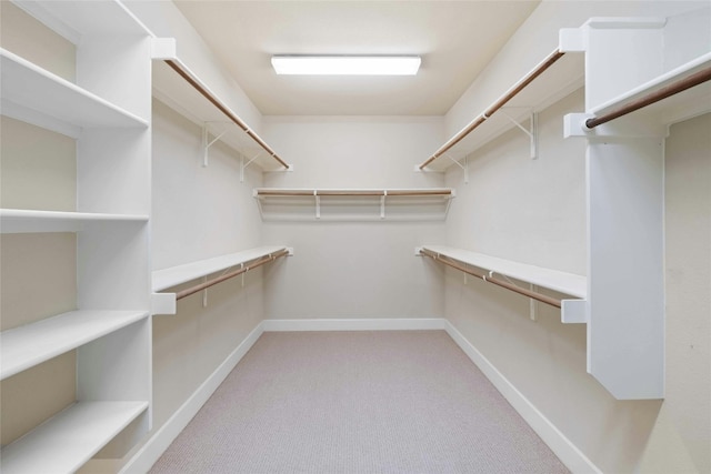 spacious closet featuring light colored carpet