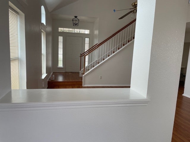 entryway featuring a healthy amount of sunlight, ceiling fan, and dark wood-type flooring