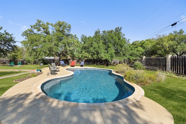 view of pool featuring a lawn and a patio