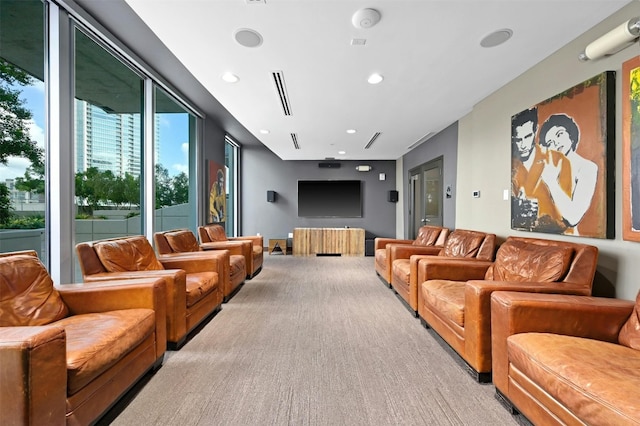 view of carpeted home theater room