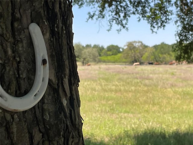 3000 Pettytown Rd, Dale, TX 78616 - photo 21