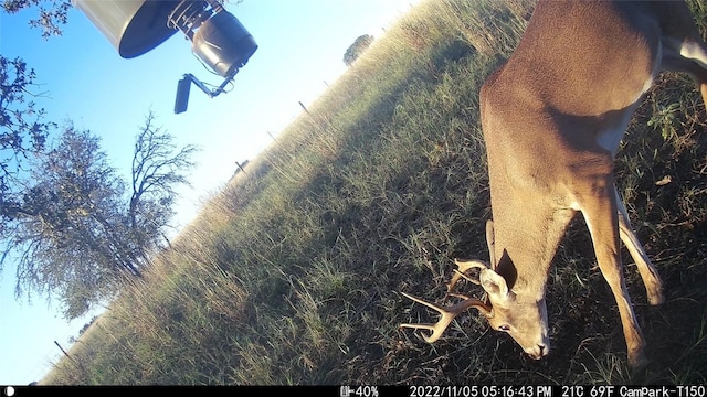 3000 Pettytown Rd, Dale, TX 78616 - photo 23