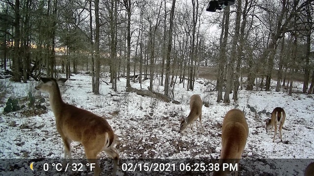 3000 Pettytown Rd, Dale, TX 78616 - photo 24