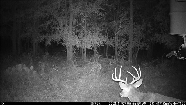 3000 Pettytown Rd, Dale, TX 78616 - photo 25