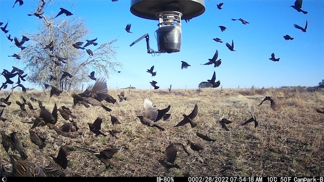 3000 Pettytown Rd, Dale, TX 78616 - photo 31