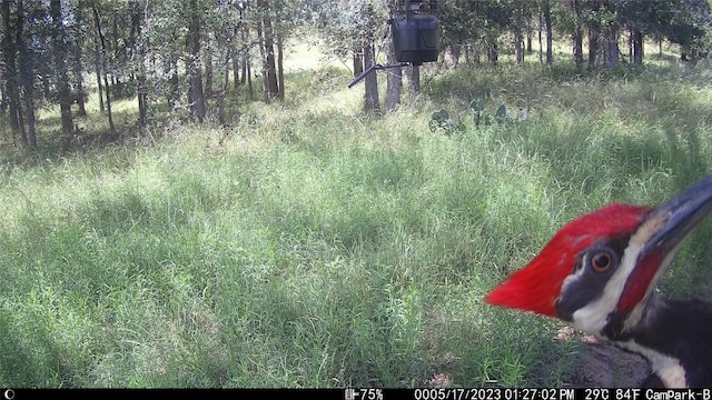 3000 Pettytown Rd, Dale, TX 78616 - photo 34