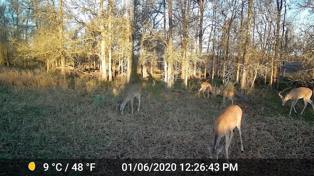 3000 Pettytown Rd, Dale, TX 78616 - photo 7