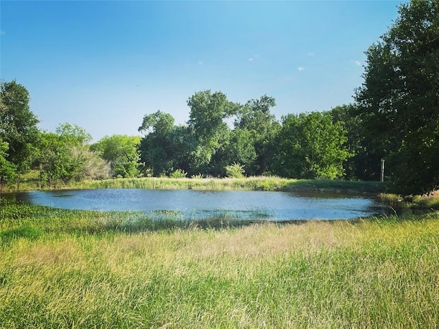 3000 Pettytown Rd, Dale, TX 78616 - photo 10