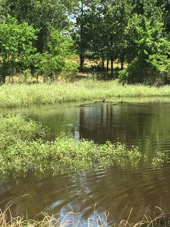 3000 Pettytown Rd, Dale, TX 78616 - photo 11