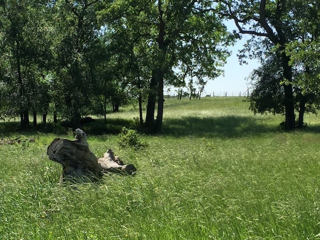 3000 Pettytown Rd, Dale, TX 78616 - photo 12