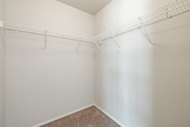 walk in closet with carpet