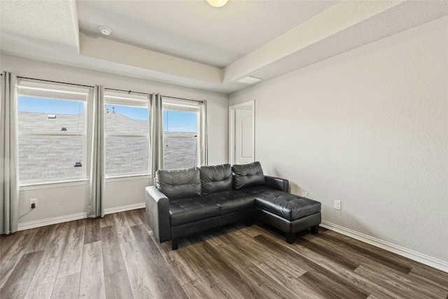 living room featuring a raised ceiling and wood-type flooring