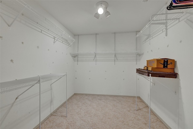 walk in closet featuring light carpet