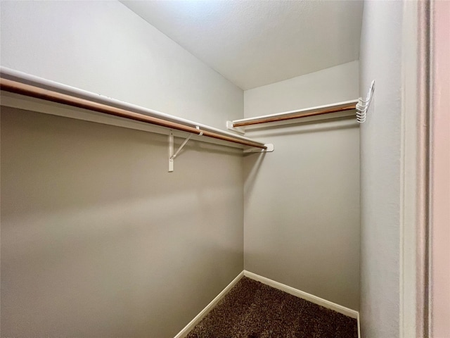 walk in closet with carpet floors