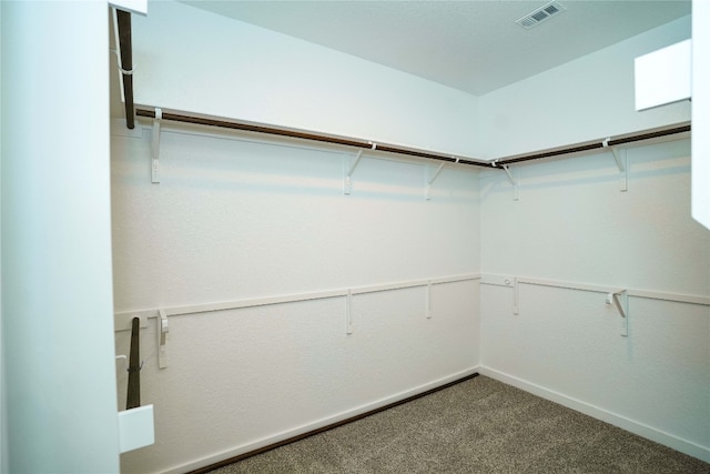 walk in closet featuring carpet