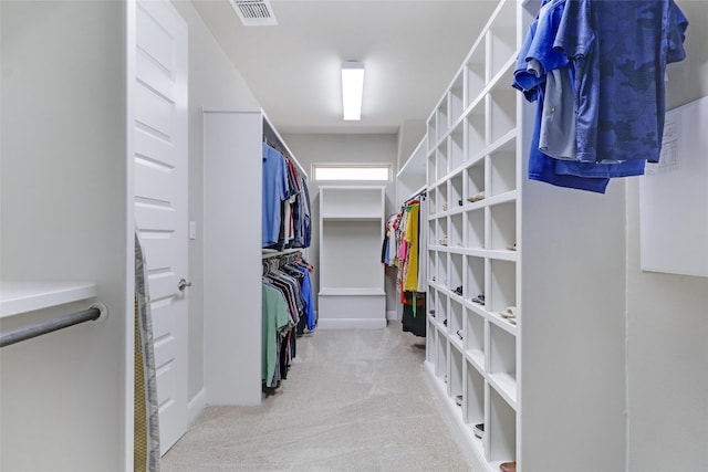 spacious closet with light carpet