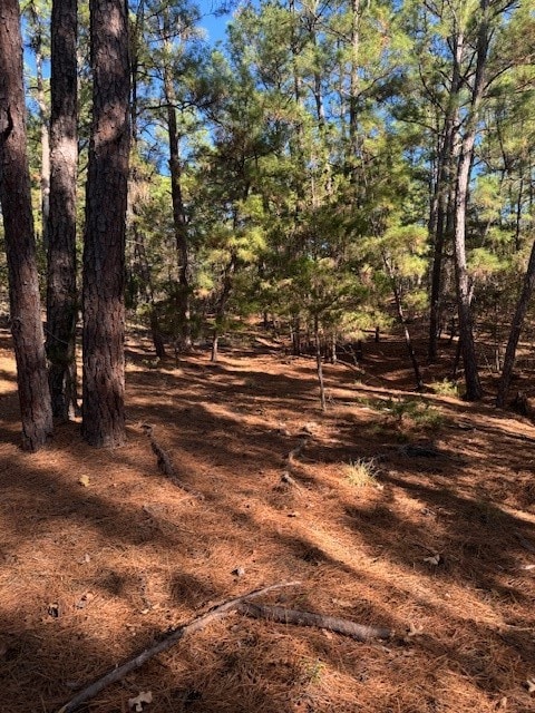 LOT1395 Kaupa Ct, Bastrop TX, 78602 land for sale