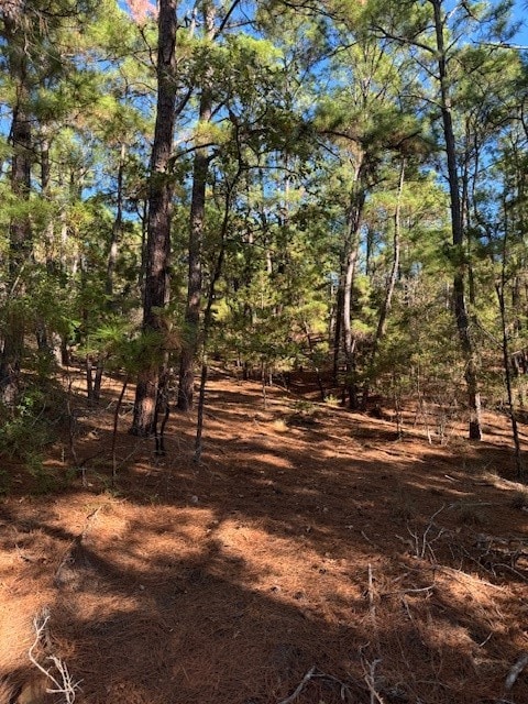 Listing photo 3 for LOT1395 Kaupa Ct, Bastrop TX 78602