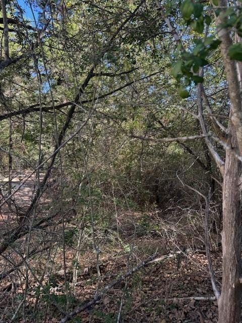 115 Helemano Dr, Bastrop, TX 78602