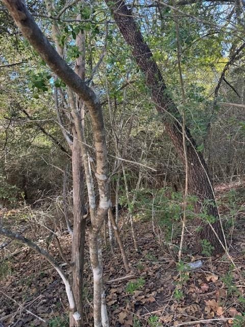 115 Helemano Dr, Bastrop, TX 78602