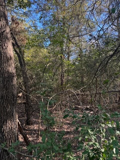 125 Helemano Dr, Bastrop, TX 78602
