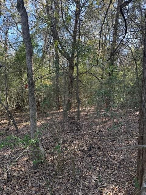 125 Helemano Dr, Bastrop, TX 78602
