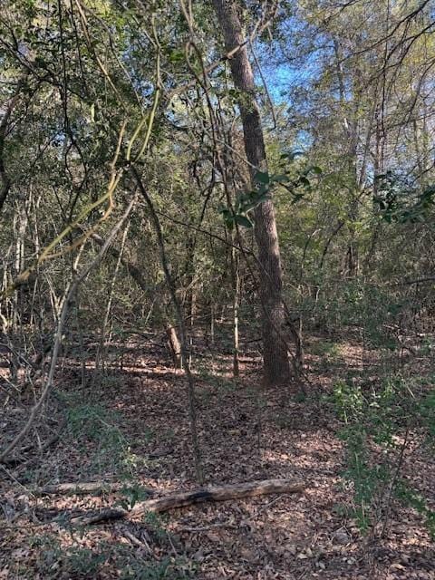 125 Helemano Dr, Bastrop, TX 78602