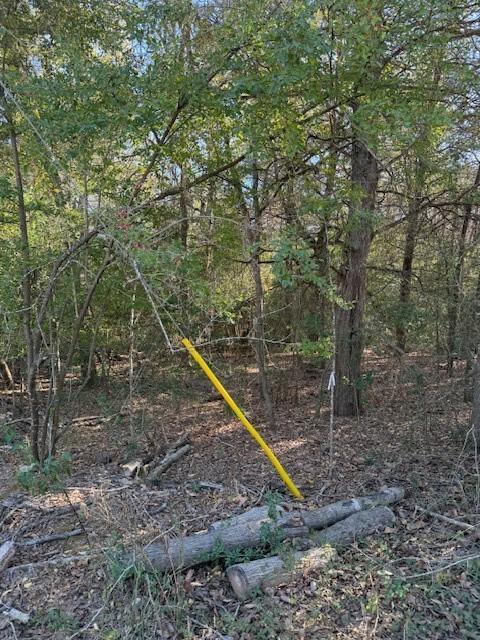 125 Helemano Dr, Bastrop, TX 78602
