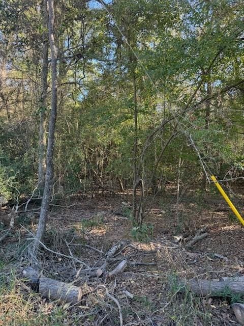 125 Helemano Dr, Bastrop, TX 78602