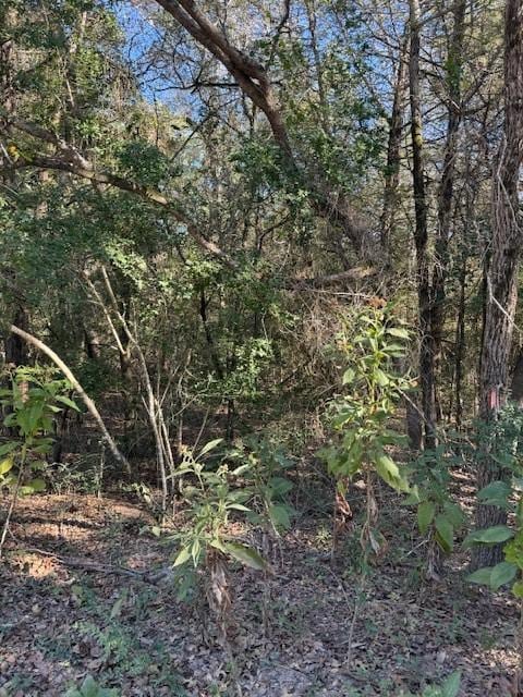 125 Helemano Dr, Bastrop, TX 78602