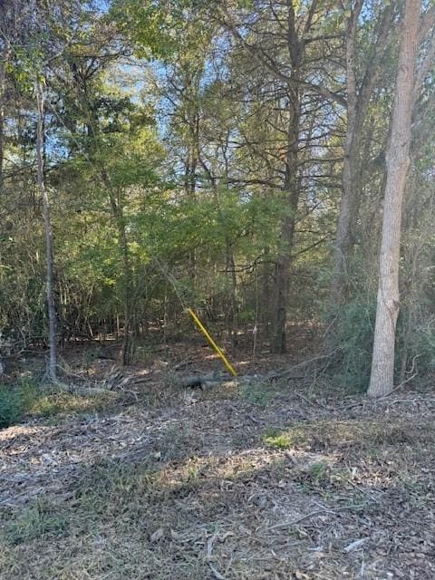 125 Helemano Dr, Bastrop, TX 78602